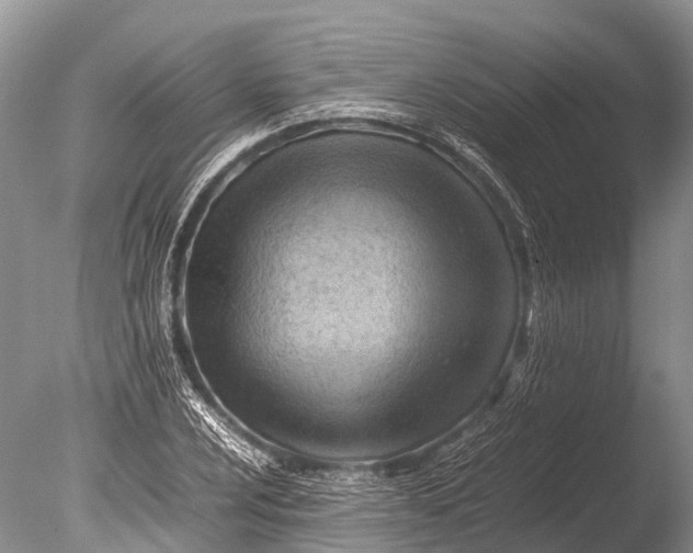 X0000085741024200703301422