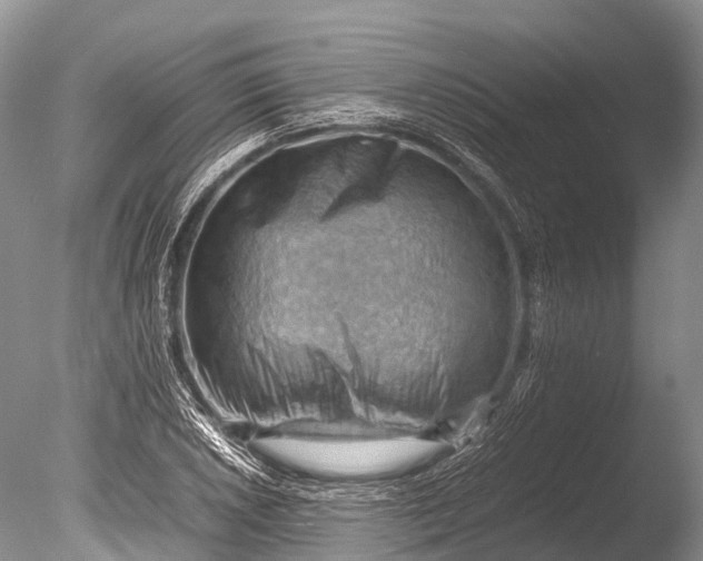X0000085741026200703301422