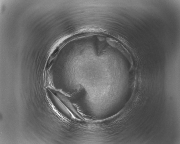 X0000085741030200703301422
