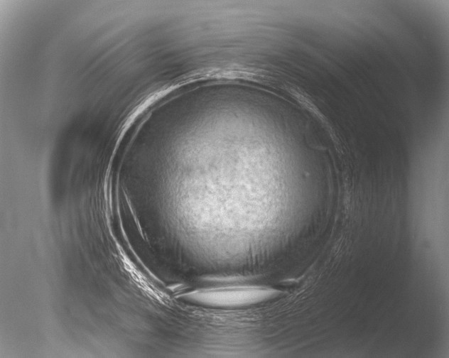 X0000085741032200703301422
