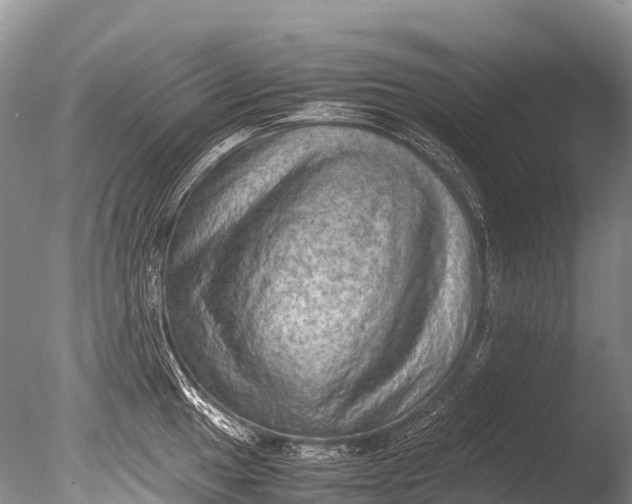 X0000085741049200703301423