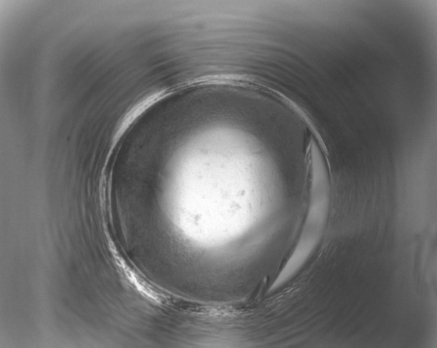 X0000085741050200703301423