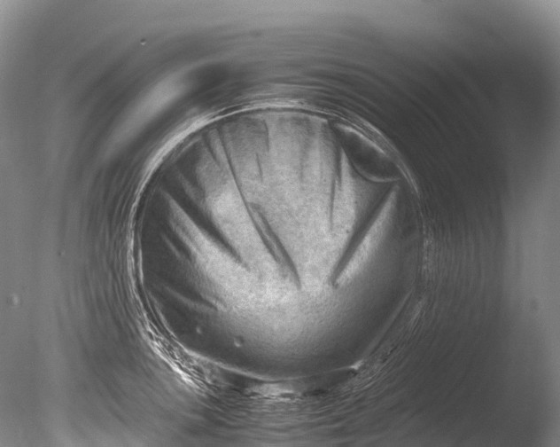 X0000085741051200703301423