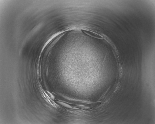 X0000085741052200703301423