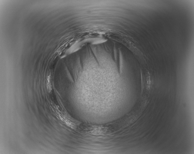 X0000085741060200703301422