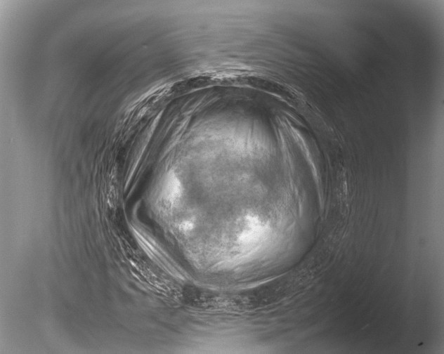 X0000085741063200703301422