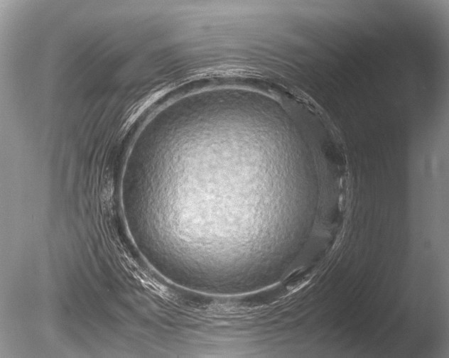 X0000085741065200703301422