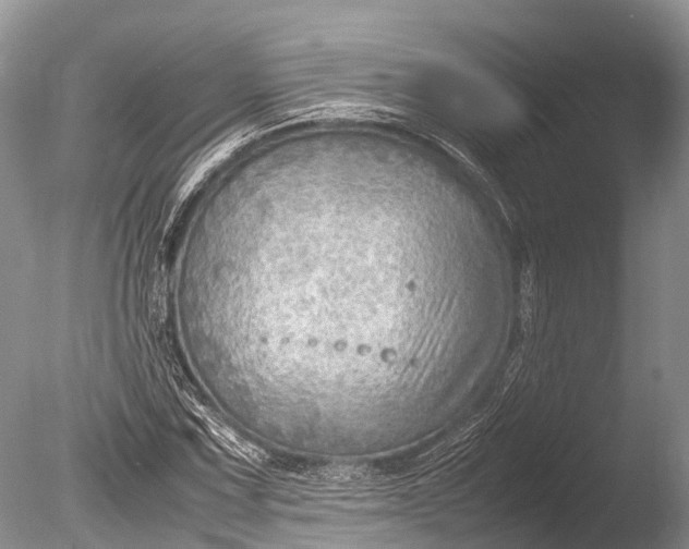 X0000085741067200703301422