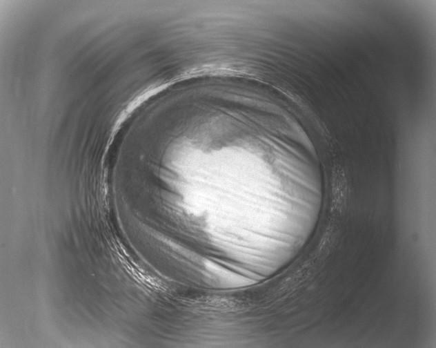 X0000085741070200703301422