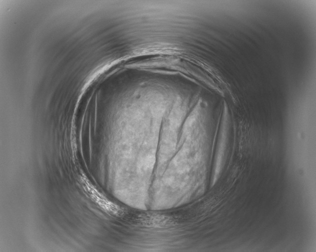 X0000085741072200703301422
