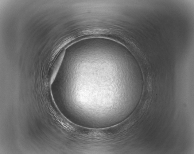 X0000085741073200703301422