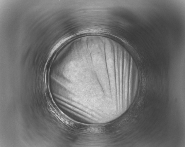 X0000085741078200703301422