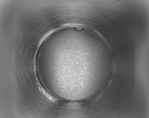 X0000085741082200703301422