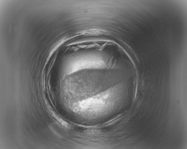 X0000085741083200703301422
