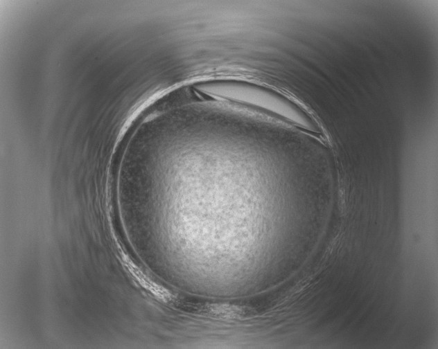 X0000085741085200703301422