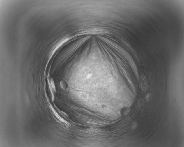 X0000085741087200703301422