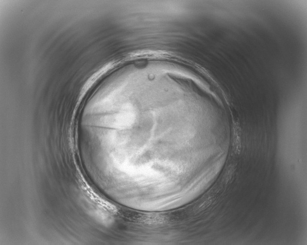 X0000085741090200703301422