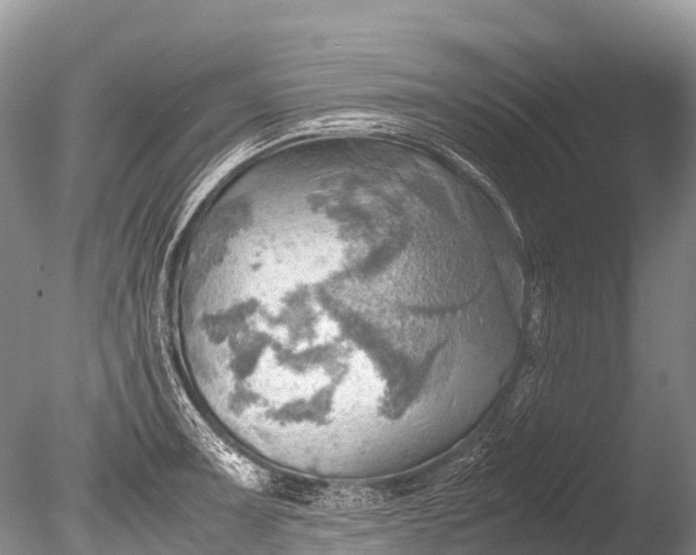X0000085741091200703301421