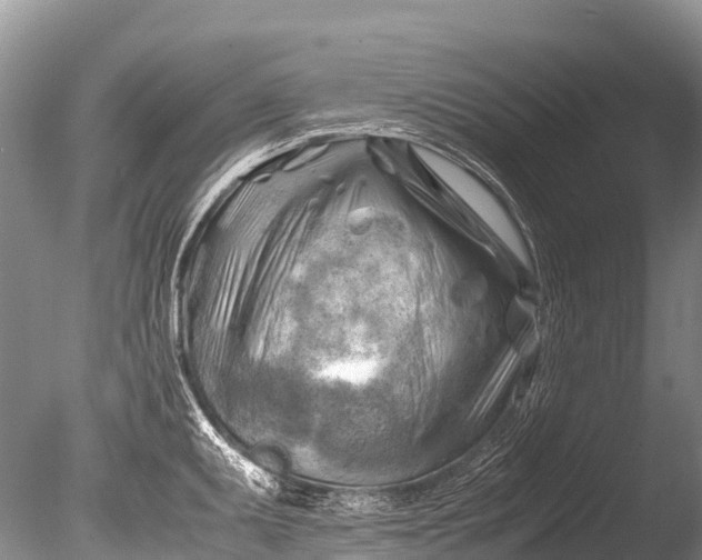 X0000085741095200703301421