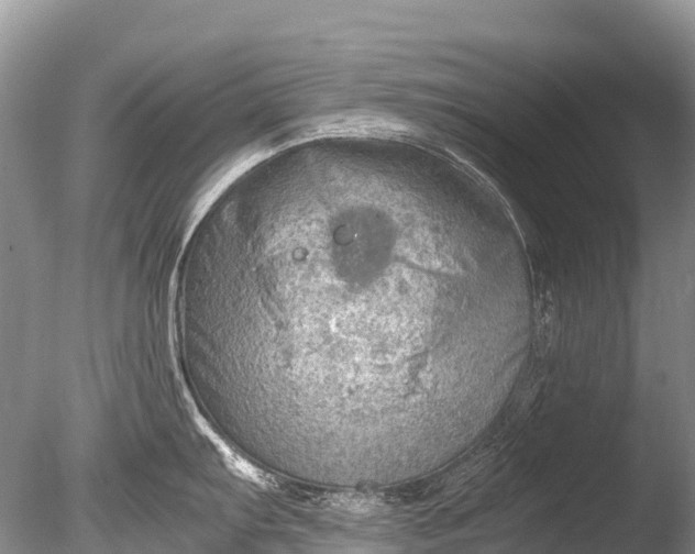 X0000085741103200703301421