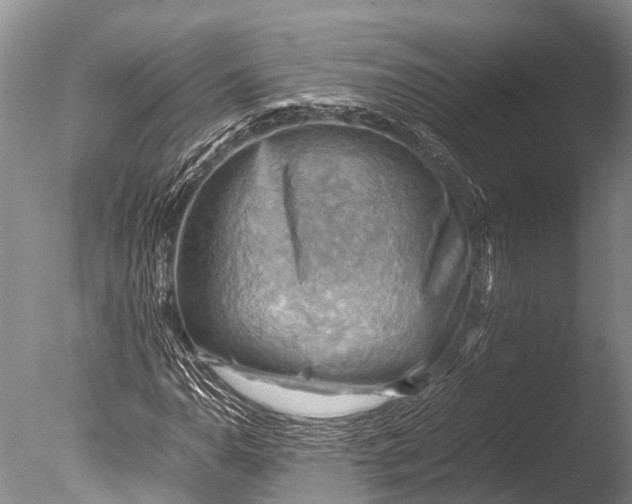 X0000085741110200703301421
