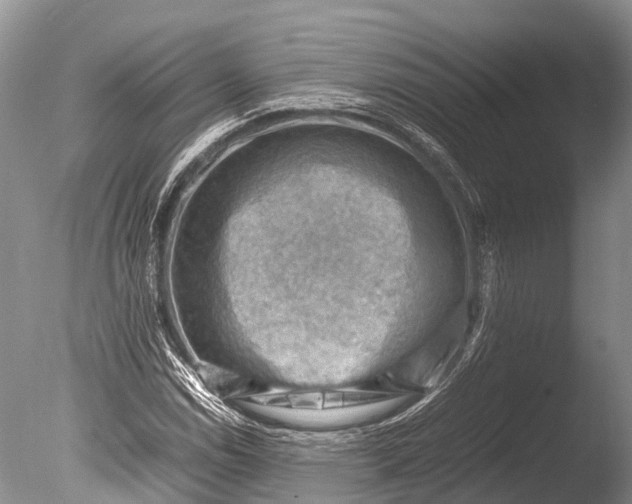 X0000085741114200703301421