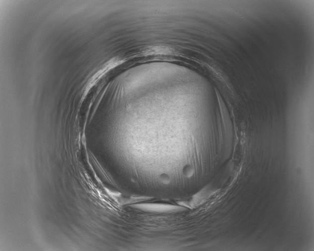 X0000085741117200703301421