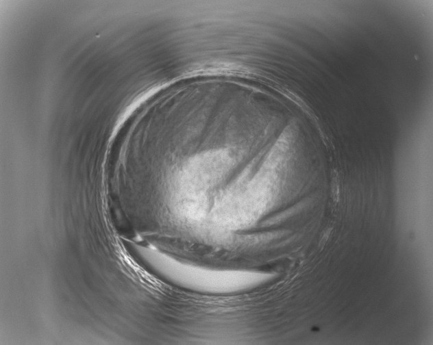X0000085741120200703301421
