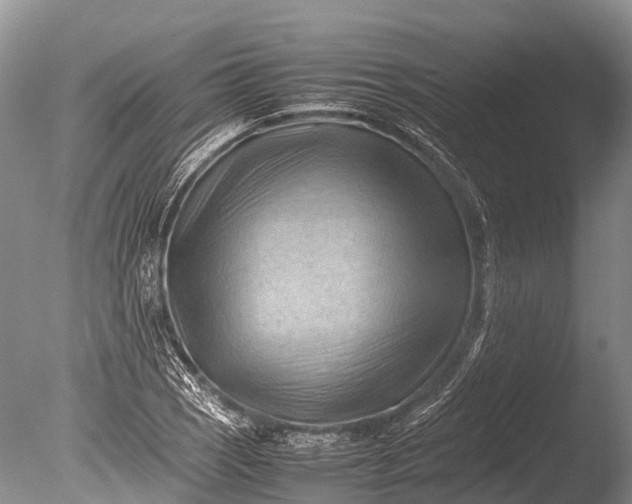 X0000085741121200703301421