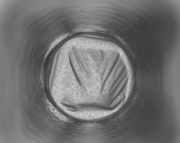 X0000085741122200703301421