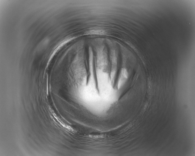 X0000085741123200703301421