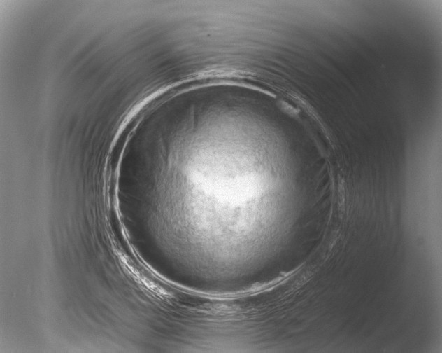 X0000085741124200703301421