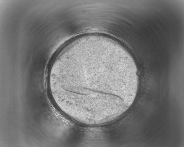 X0000085741126200703301421