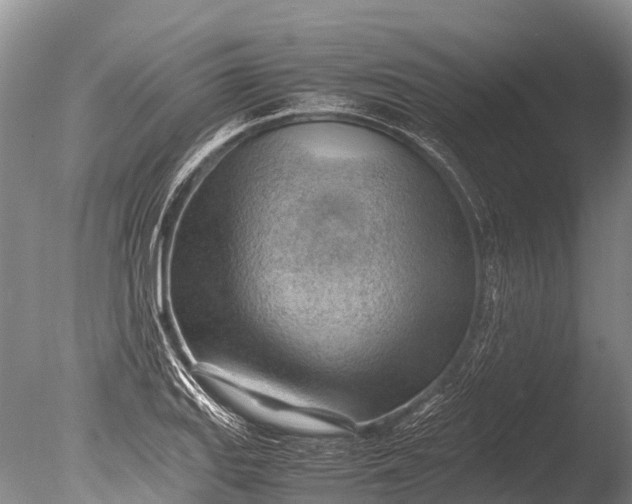 X0000085741127200703301421