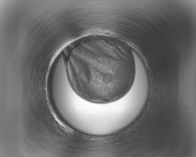 X0000085741128200703301421