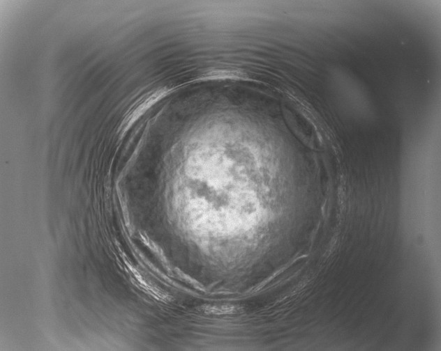 X0000085741129200703301421