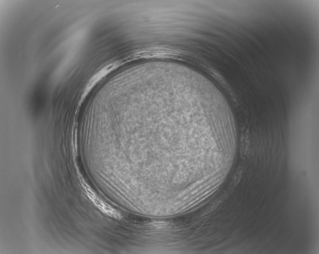 X0000085741130200703301421