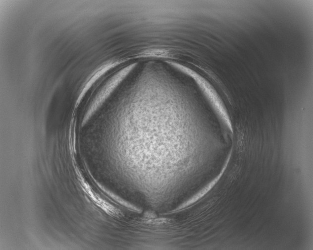 X0000085741131200703301421