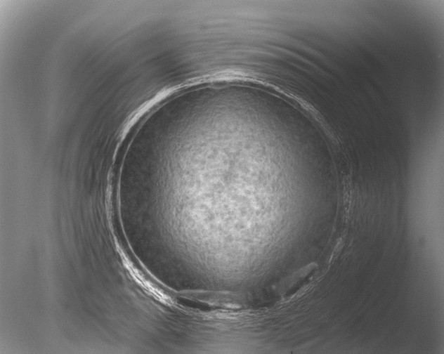 X0000085741134200703301421