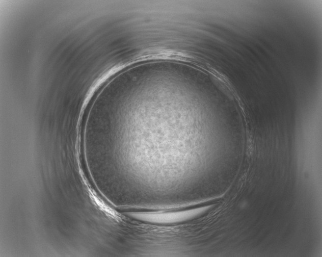 X0000085741136200703301421