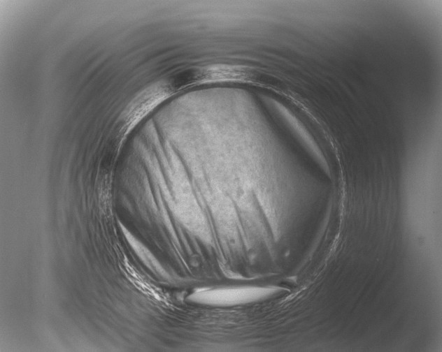 X0000085741137200703301421