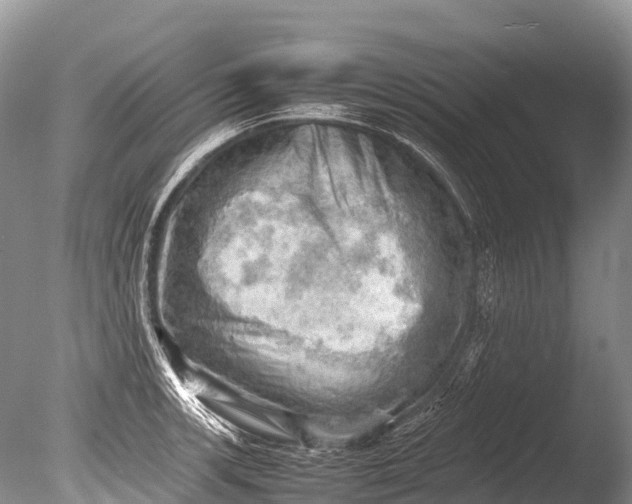 X0000085741139200703301421