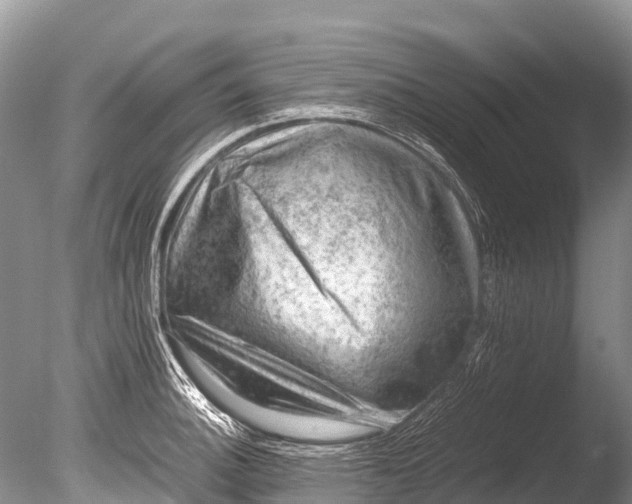 X0000085741140200703301421