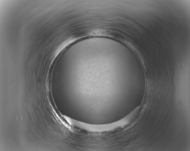 X0000085741141200703301421
