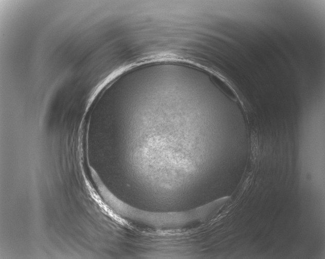 X0000085741142200703301421