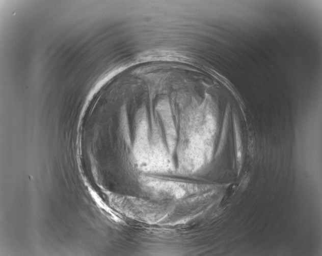 X0000085741144200703301421