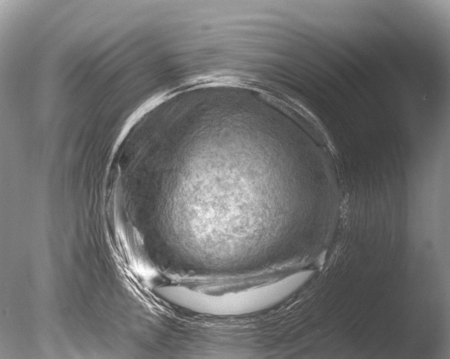 X0000085741146200703301421