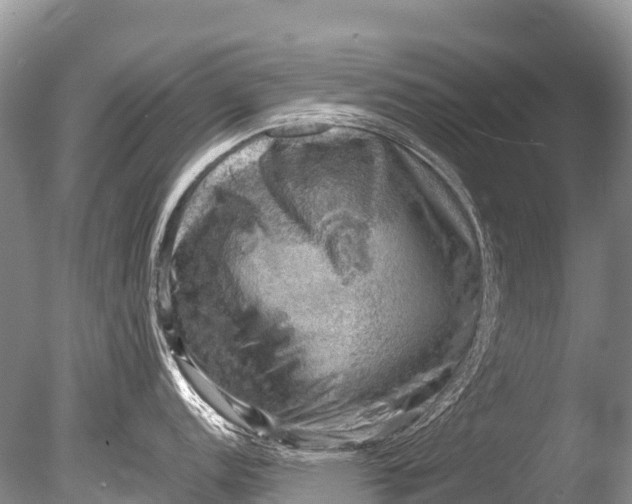 X0000085741152200703301421