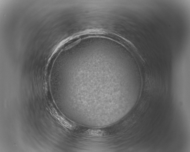 X0000085741168200703301420