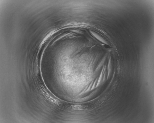 X0000085741172200703301420